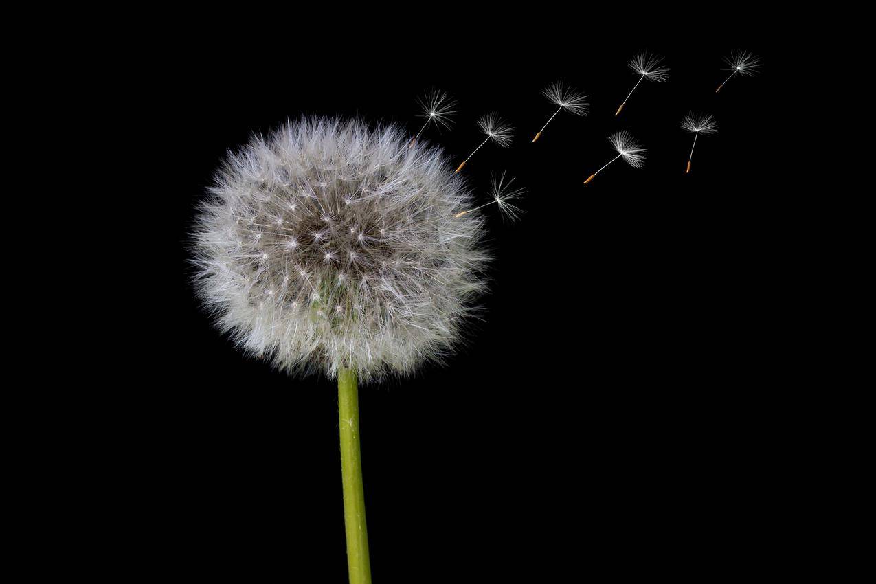 快手网刷24小时秒刷-快手全网最低价业务平台,qq刷赞软件网站 网站,快手业务平台低价刷50个双击