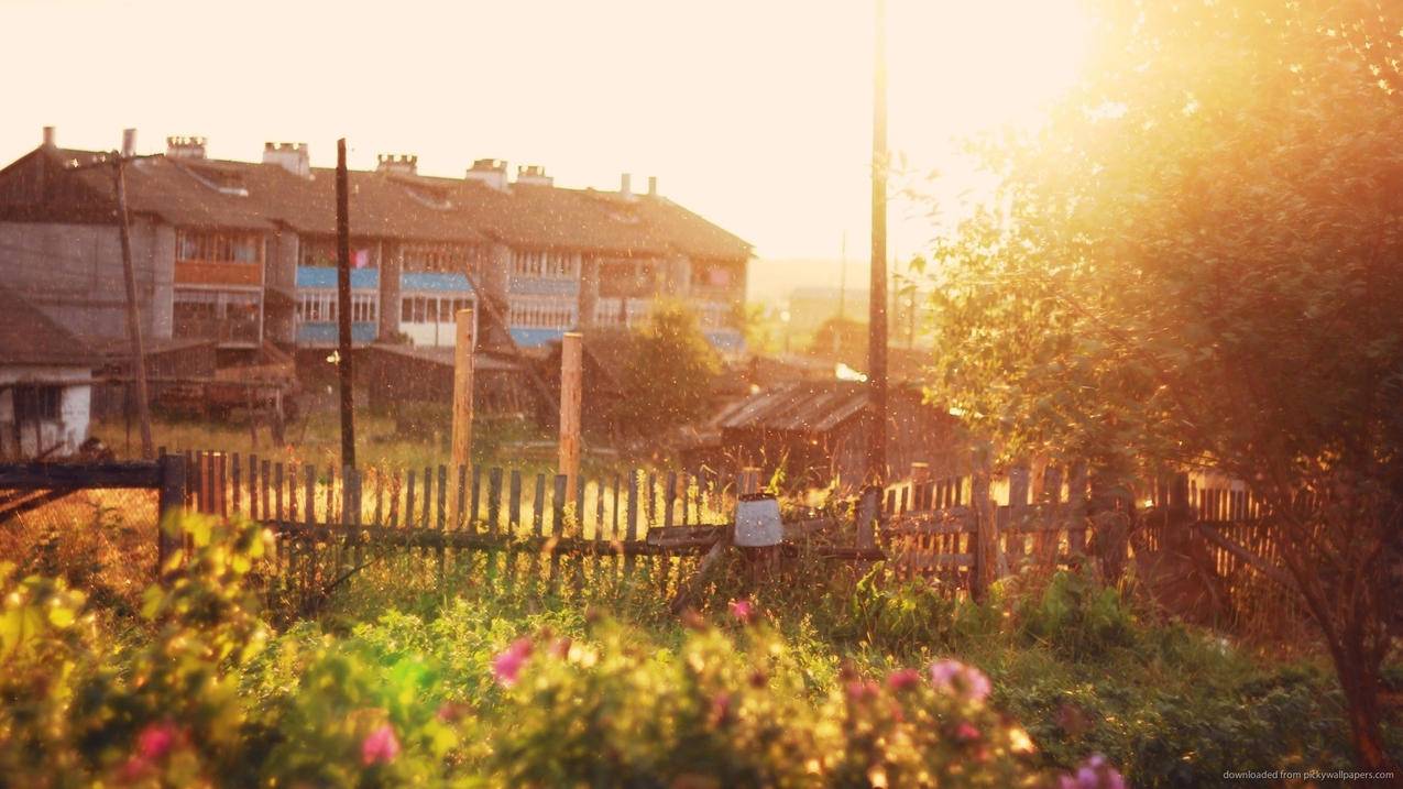 tiktok店铺入驻条件_tiktok开店流程 - 苹果APP下载 - 55dz账号网