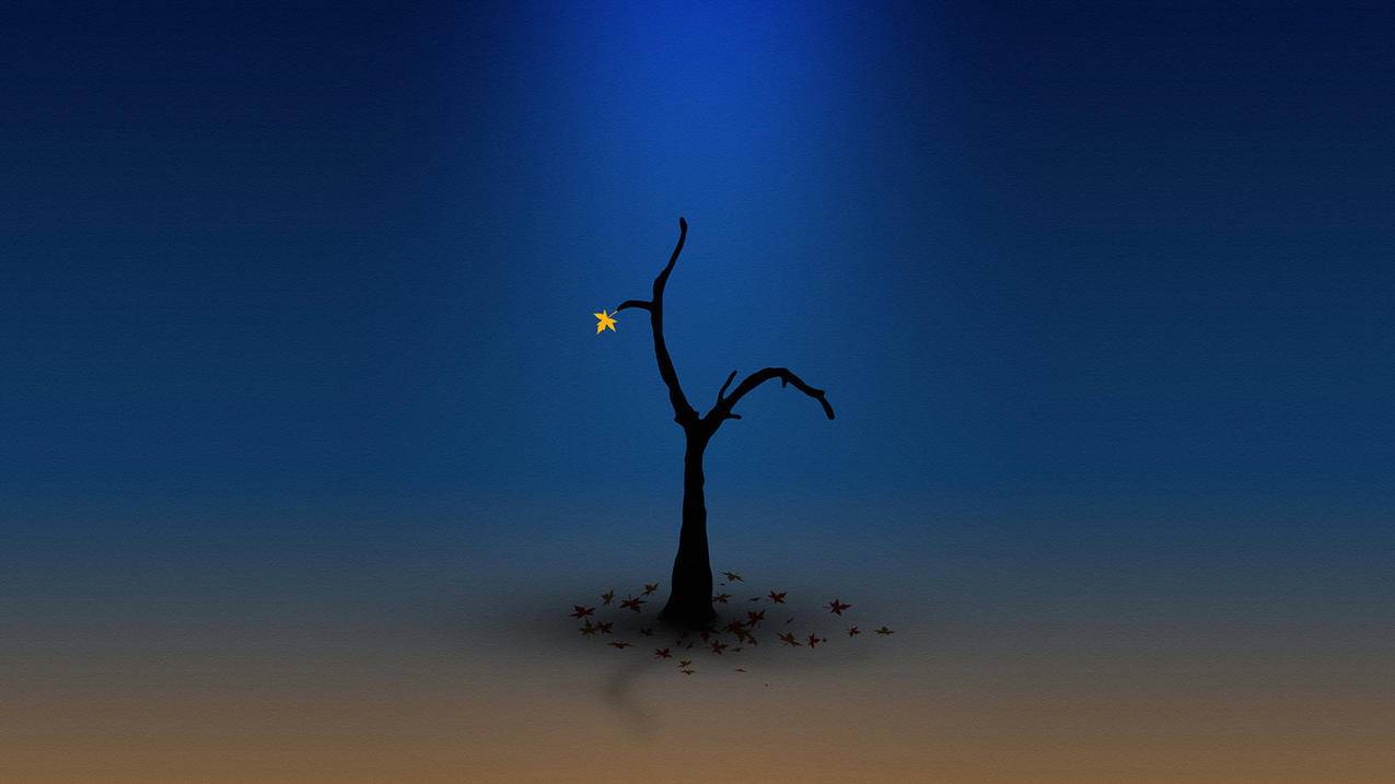 facebook公共主页类别怎么填_facebook主页类别有哪些 - facebook相关 - 55dz账号网