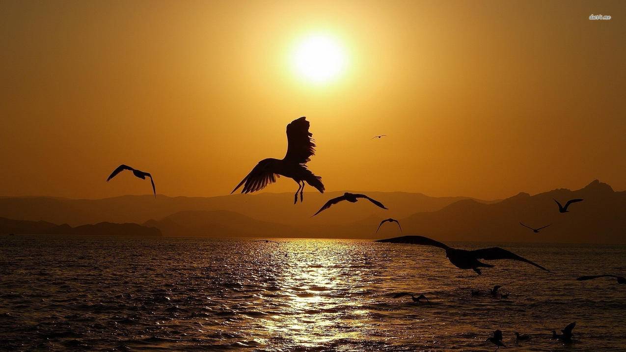 如何快速有效增加小红书粉丝数量？ - 网络资讯 - ks业务下单