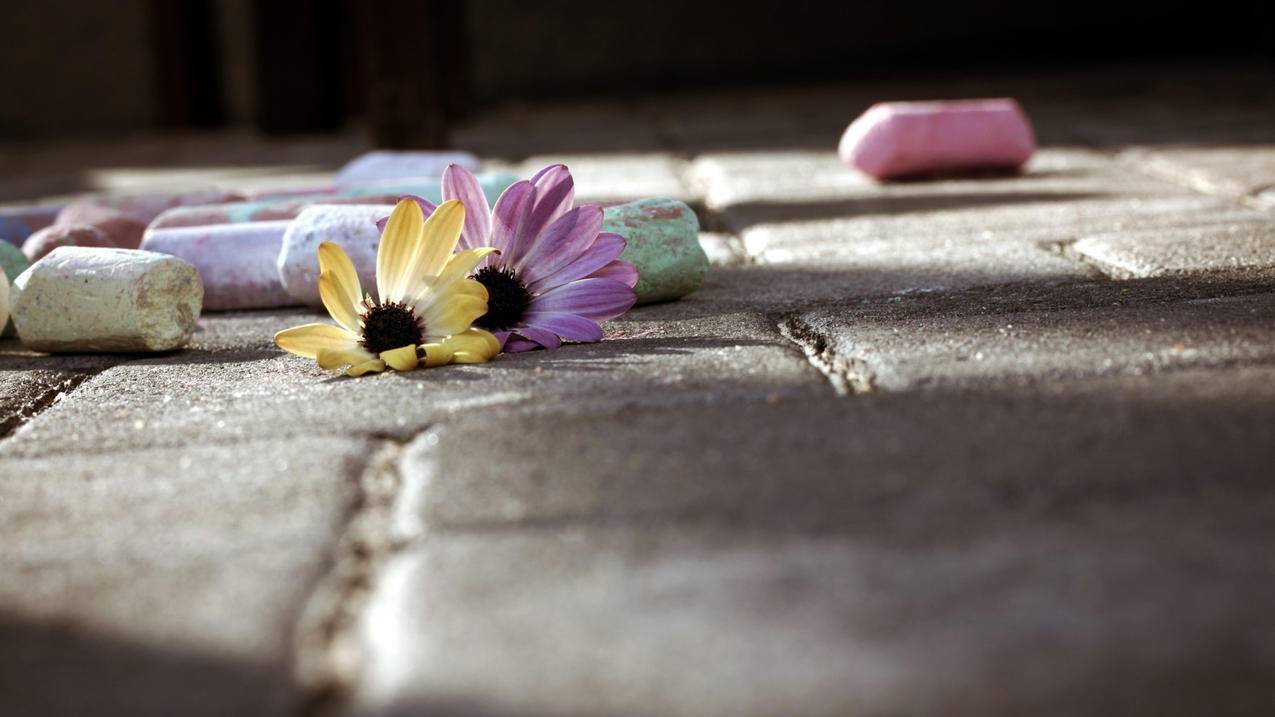 appleidapplecomcnzhcn_appleidapplecomcnzhcn重置密码 - Apple ID相关 - 55dz账号网