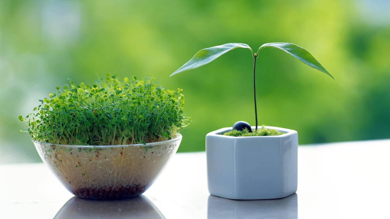 apple id是邮箱还是手机号  ( iCloud邮箱是什么? ) - 55dz账号网