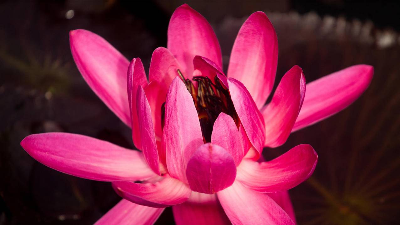 油管上什么视频适合搬运到国内_油管的视频可以直接搬运吗 - youtube相关 - 55dz账号网