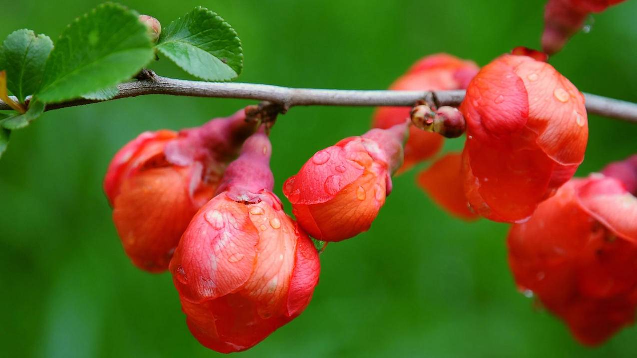 呈贡区乌龙街道强化基层治理模式推动城市网格化管理 - Apple ID相关 - 55dz账号网