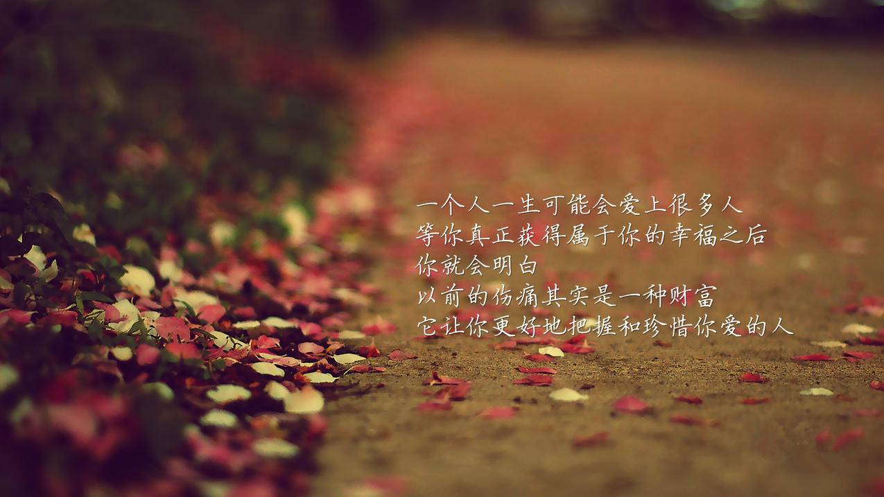 celine粉色T恤_Celine t恤 - Line相关 - 55dz账号网