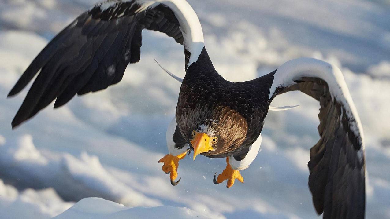 facebook怎么不让别人看到自己的好友_facebook如何设置别人看不到好友 - facebook相关 - 55dz账号网