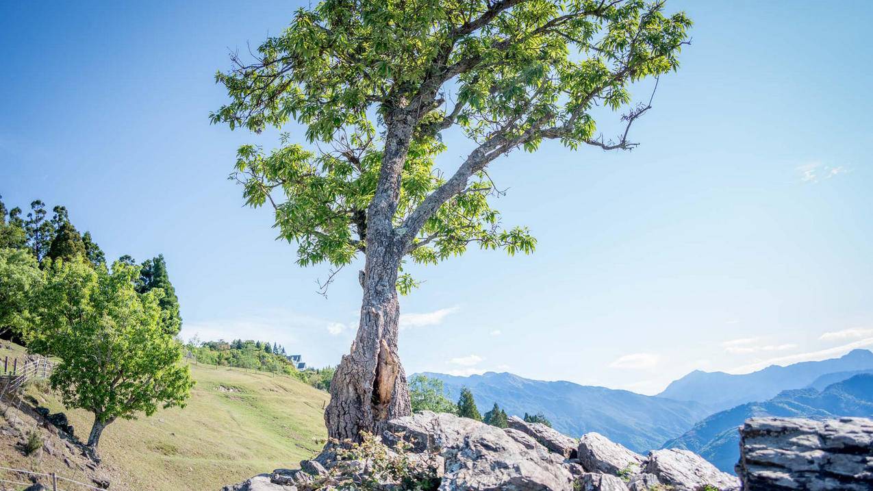 苹果韩国appleid充值有什么用_韩国苹果商店充值 - 韩国苹果id - 55dz账号网