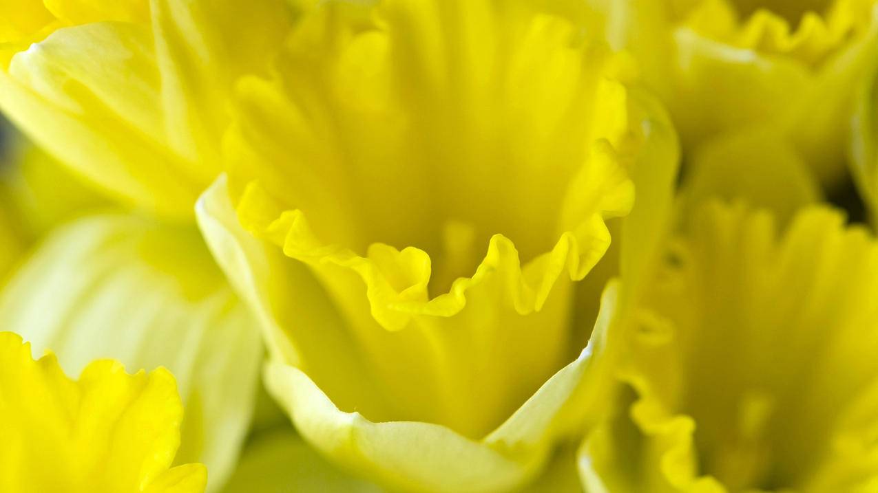 苹果5s用什么杀毒软件最好  ( 小火箭怎么添加账号密码 ) - 55dz账号网