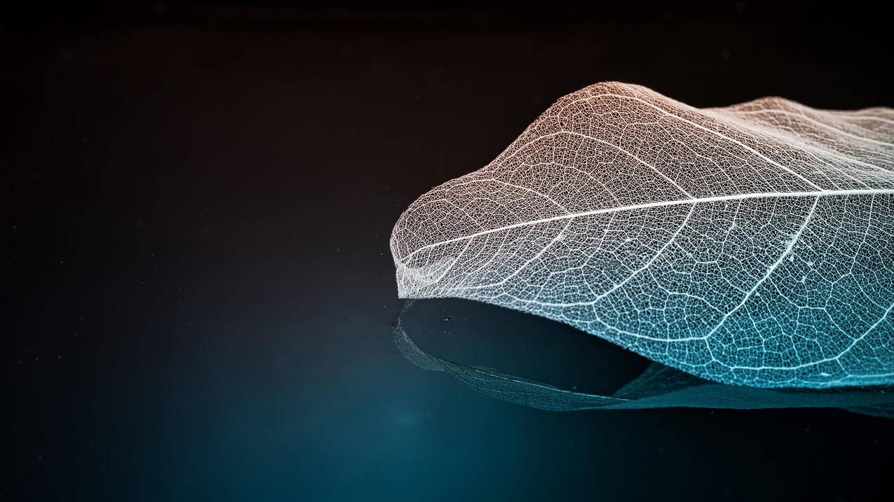 怎么保存微信视屏公众号 - 自助平台 - dy业务网