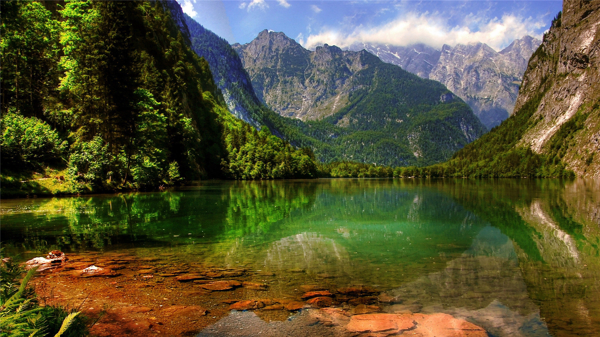 google修复工具下载_google服务修复工具 - google相关 - 55dz账号网