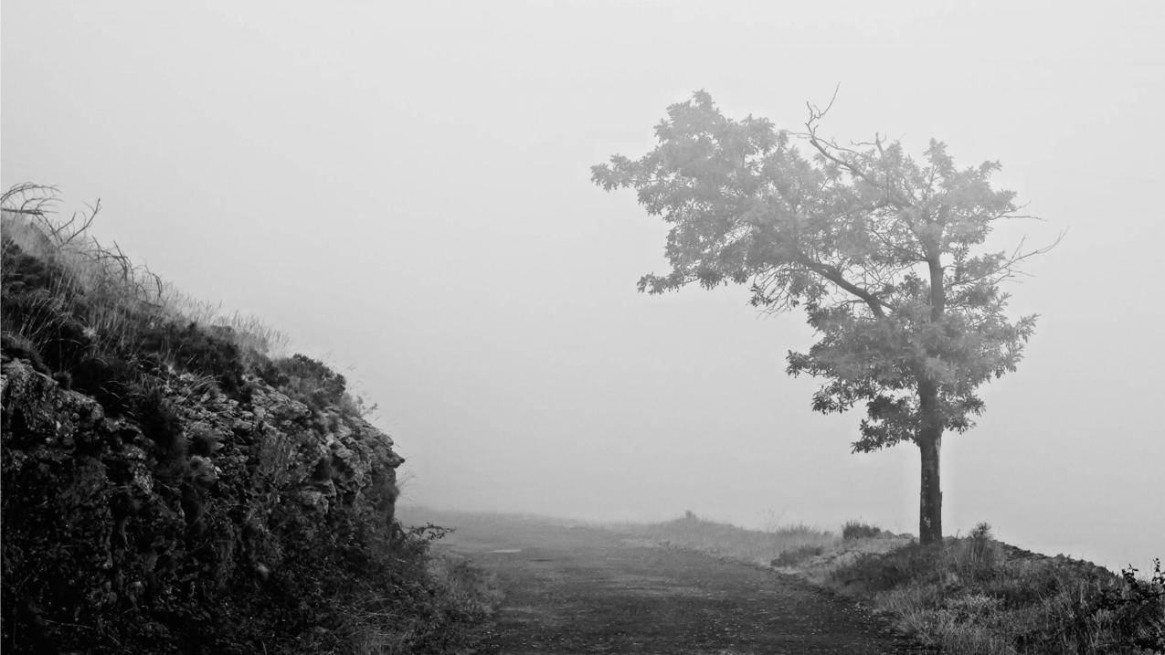 B站名片点赞网站 - 免费快手赞,快手代刷业务最低网