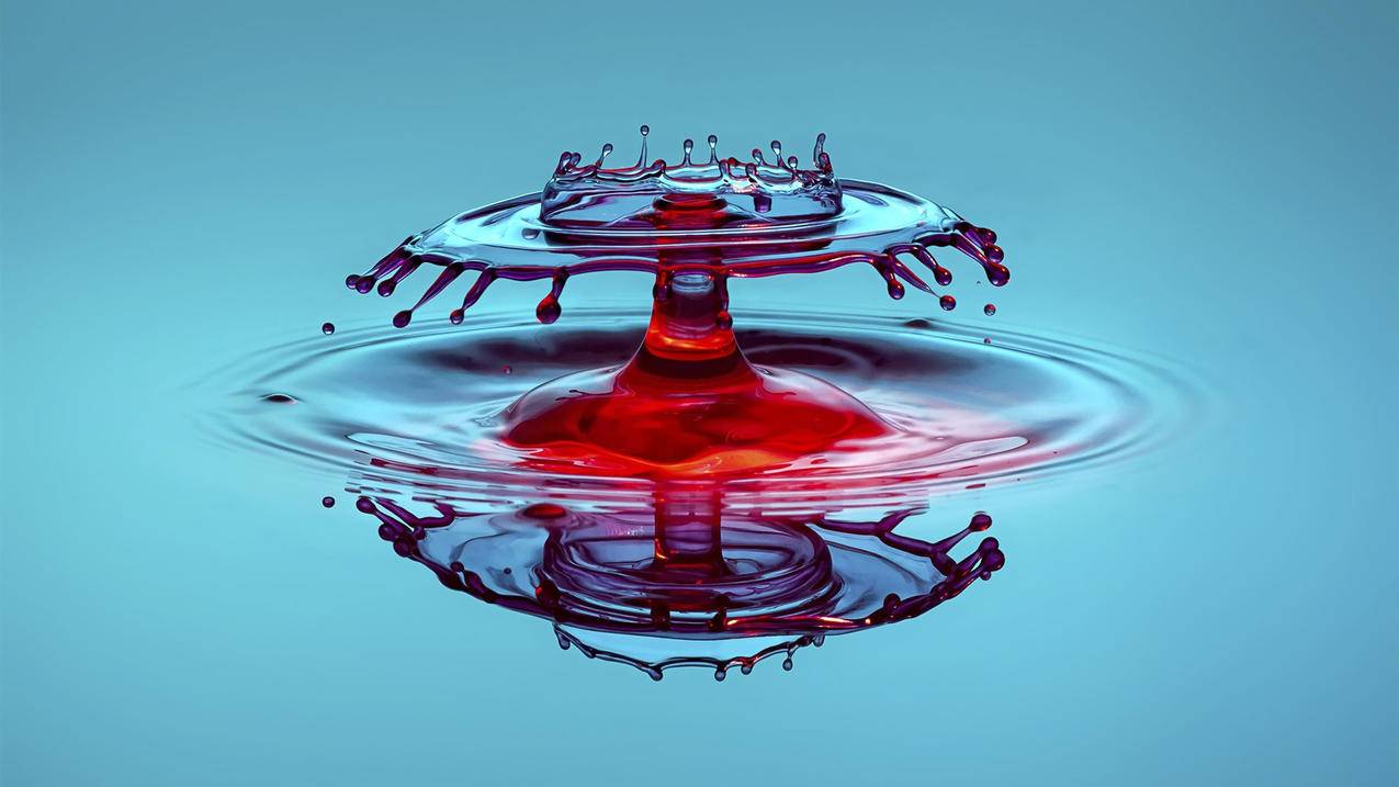 iPhone自带扫一扫在哪里找？苹果手机设置打开扫一扫_海外账号购买网