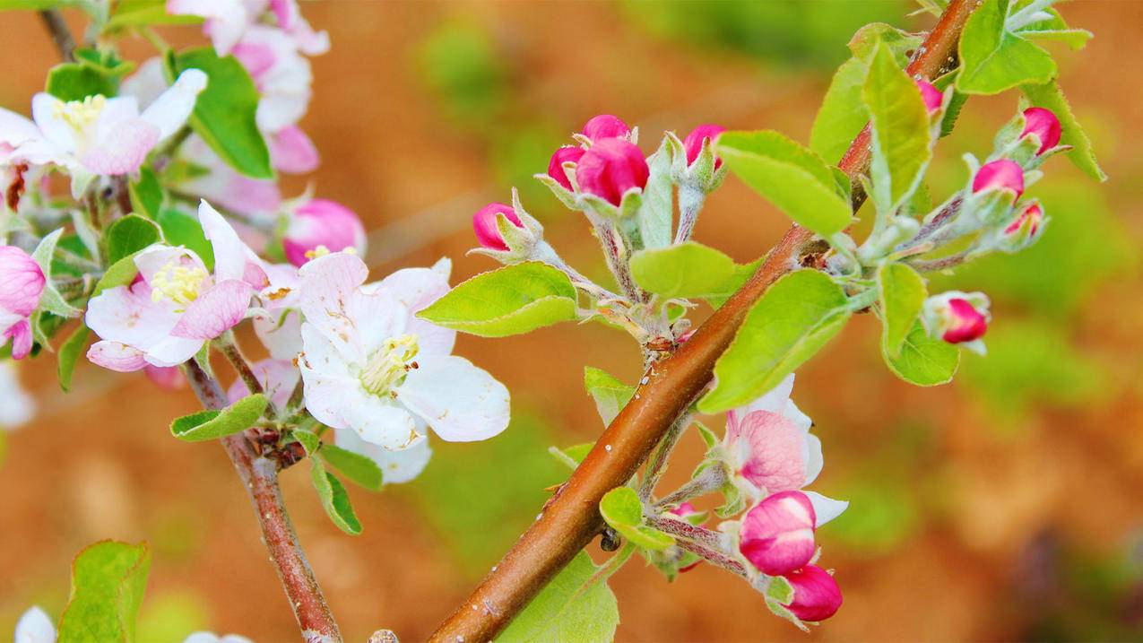 耐克zoomwinflo5评测_ZOOM WINFLO 5 - zoom相关 - 55dz账号网