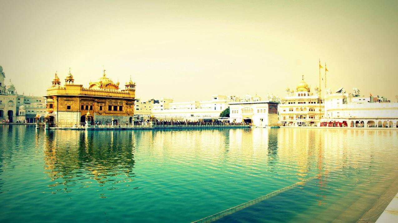 苹果ID绑定了以前的手机号怎么解绑 ， 怎么解绑苹果id绑定的手机号?  - 55dz账号网