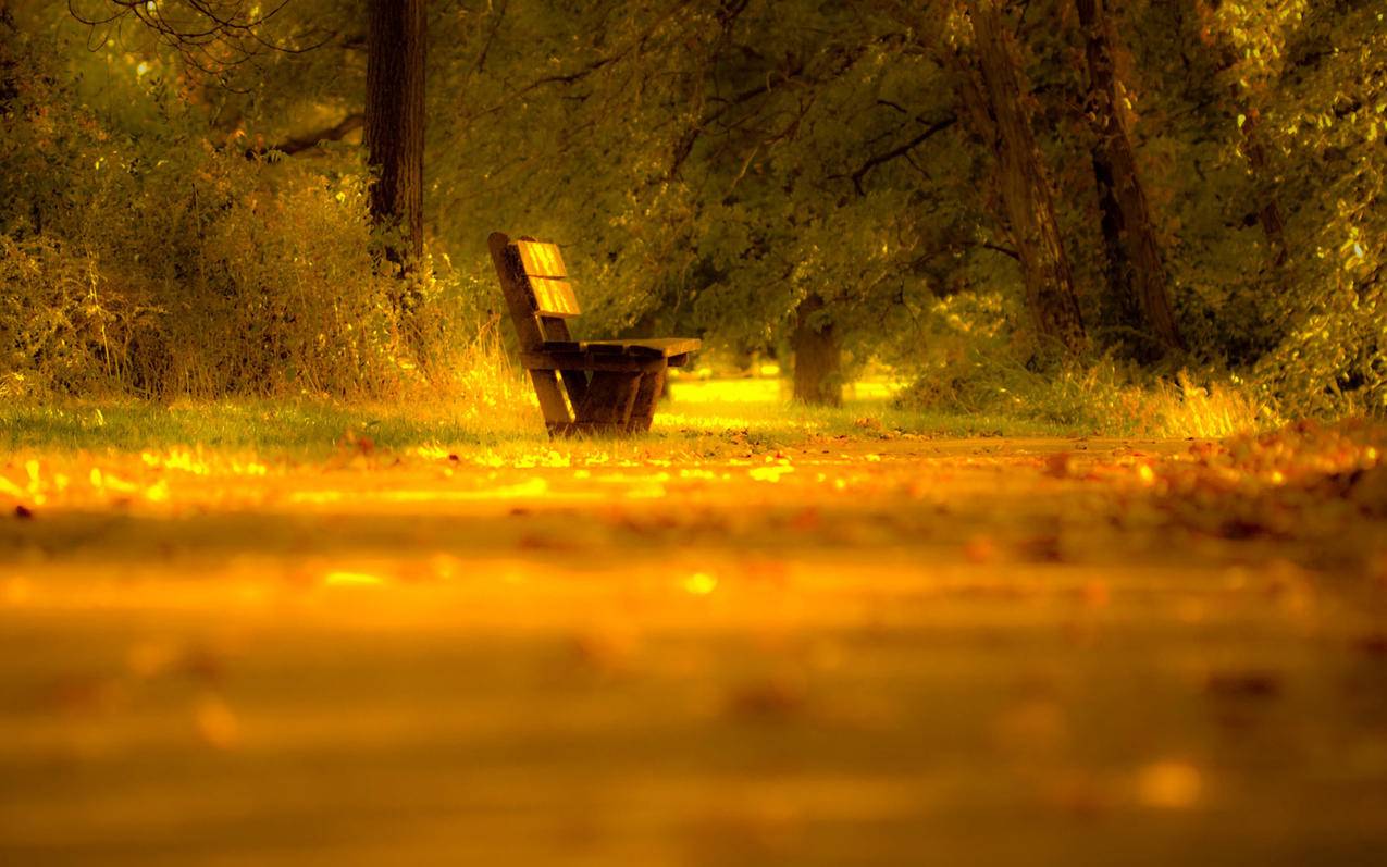 卡盟平台段友业务网 - 锦诚网络代刷,抖音业务自助下单平台最低价