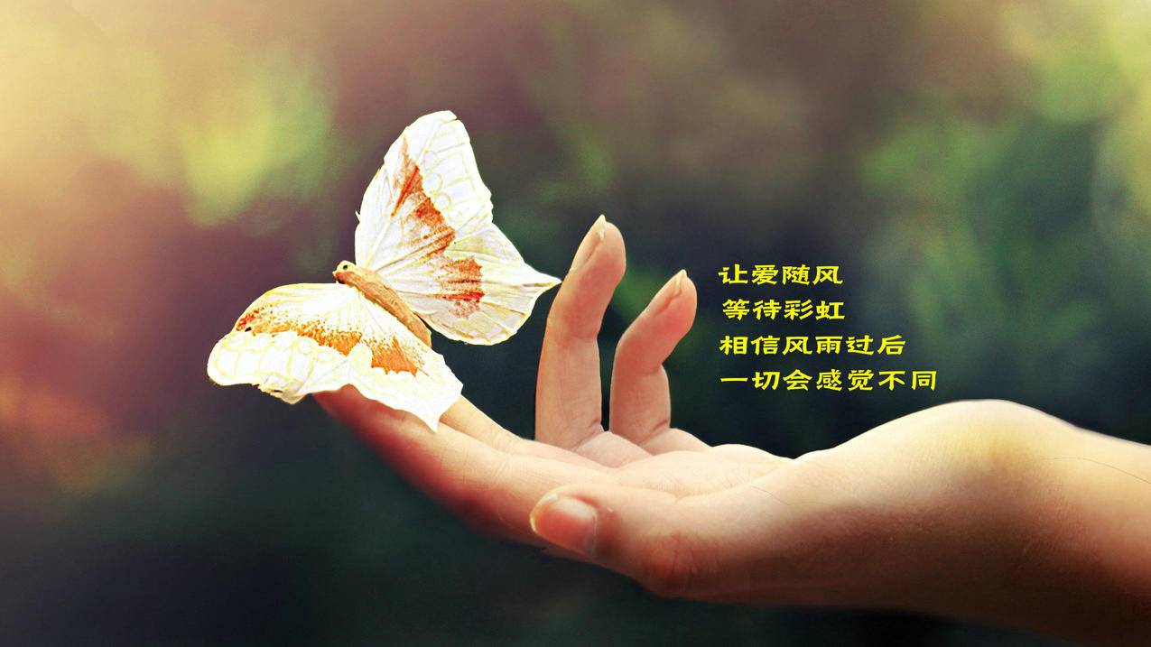 安卓tiktok安装包_Tiktok安装包 - gmail相关 - 55dz账号网