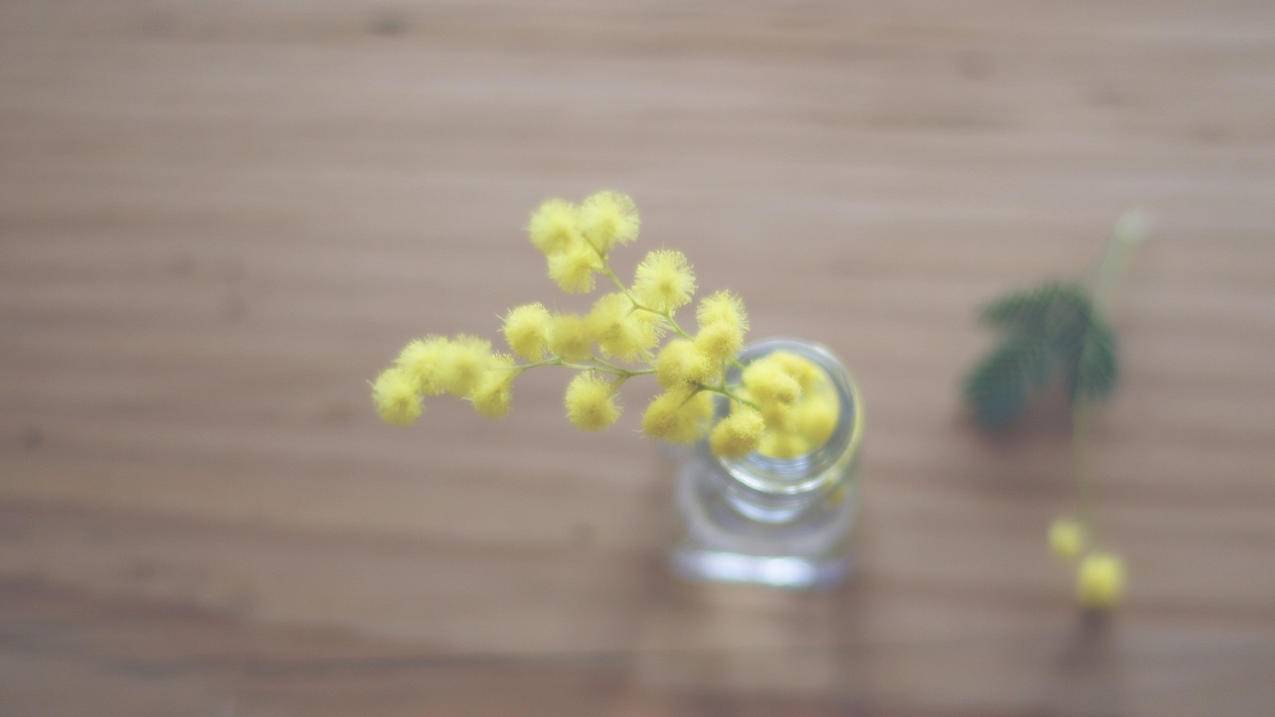 苹果手机下载googlevoice_苹果手机下载不了软件怎么回事 - google相关 - 55dz账号网