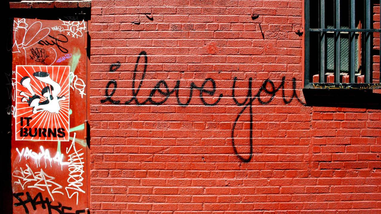 找回浏览器删除的记录  ( 谷歌浏览器历史记录删除了怎么恢复 ) - 55dz账号网