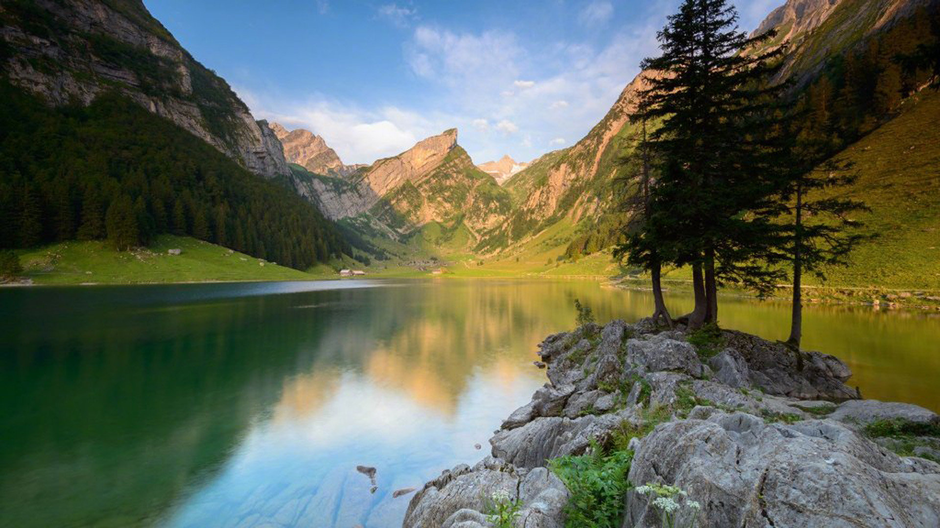 iPad改越南apple id密码一直让我输入密码（ipad忘记appleid密码怎么办改） - 各区苹果ID - 55dz账号网