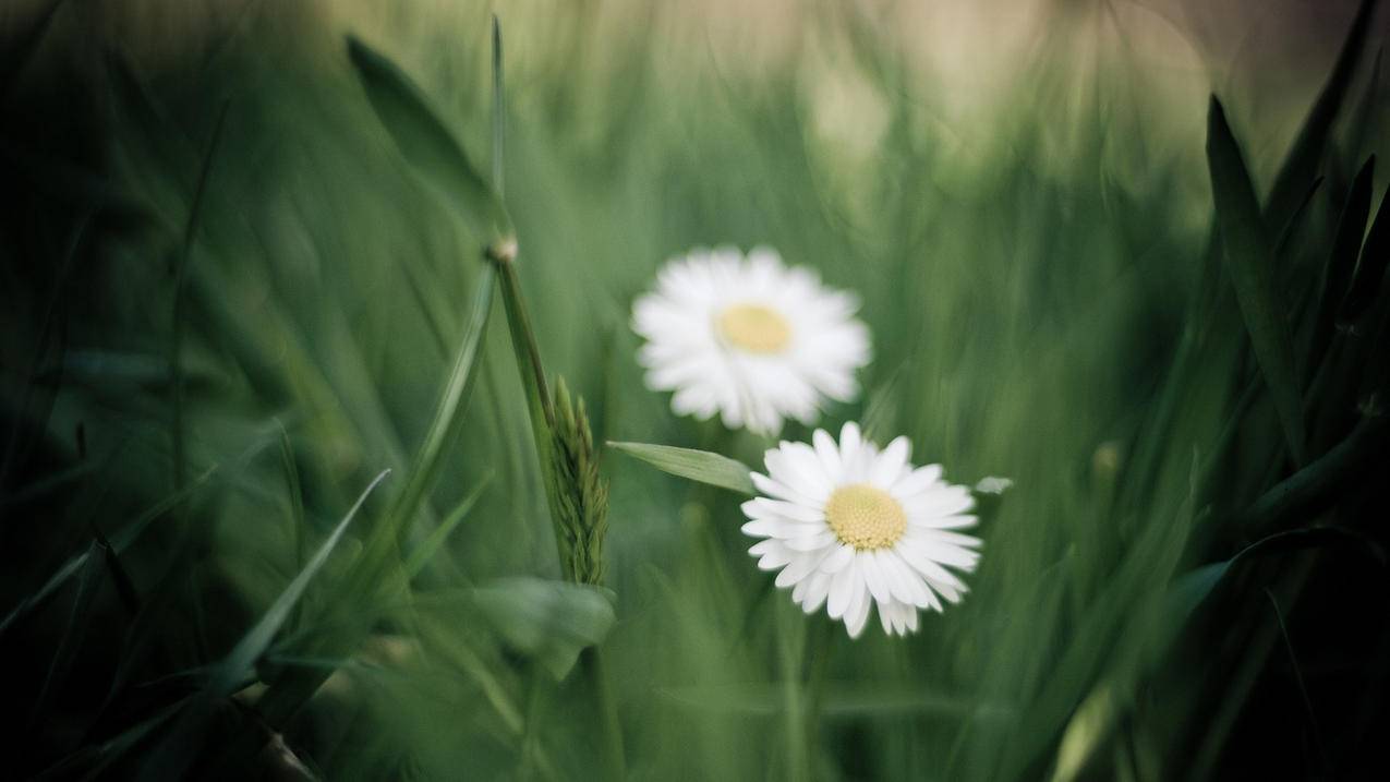 国内民用照明电路电压分为_国内民用照明电路电压以下是哪种 - gmail相关 - 55dz账号网