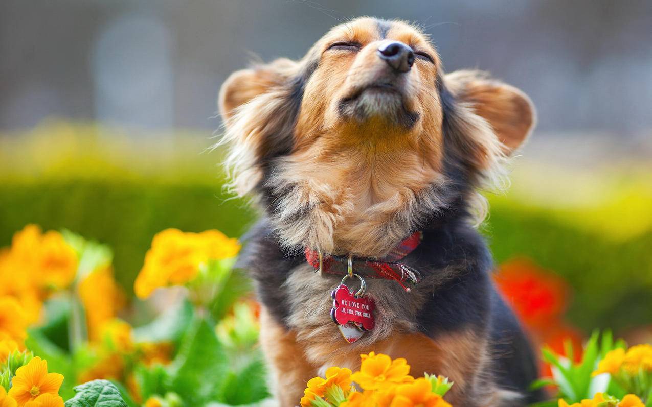 大庆达内培训怎么样 - ks自助下单 - ks业务下单