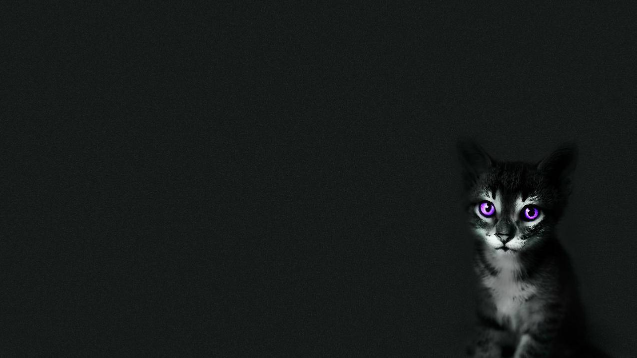 液压油缸进油回油管大小_液压油缸的进油和回油示意图 - youtube相关 - 55dz账号网