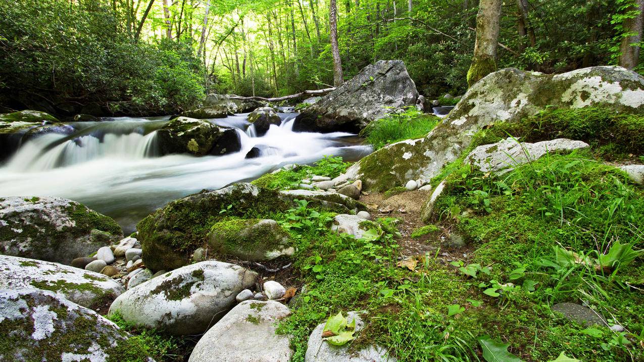 手机版facebook取消关注别人_如何取消facebook关注的人 - facebook相关 - 55dz账号网