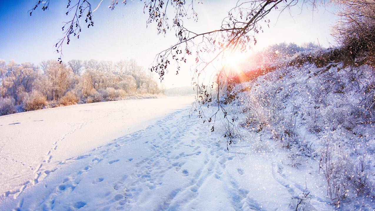 iphoneid密码在哪里找_iphoneid密码在哪里查看 - 各区苹果ID - 55dz账号网