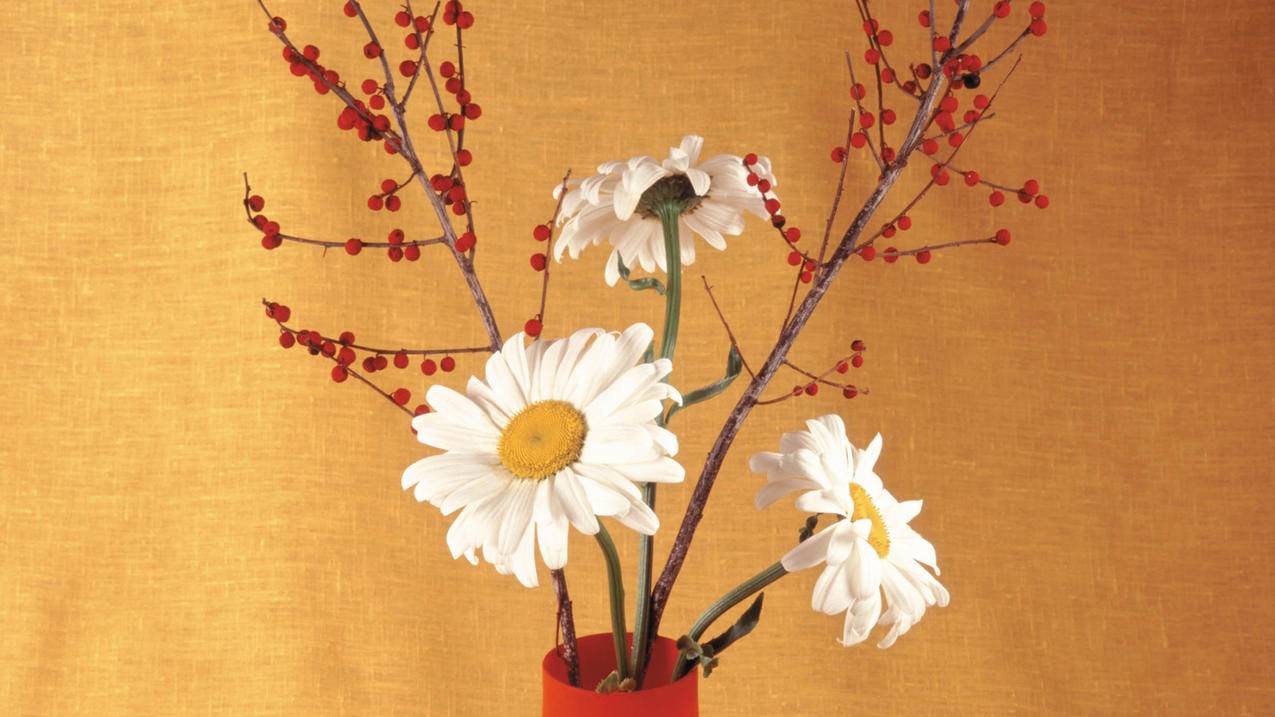 googlechrome关闭无痕模式_chrome怎么关闭无痕模式 - google相关 - 55dz账号网