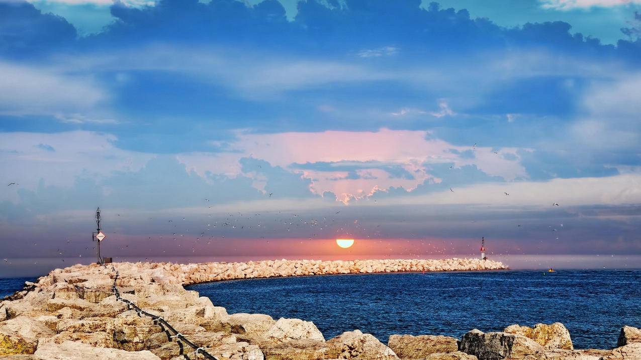 苹果建设ID中的cvv填什么? ， 我在申请苹果id号最后1步时 code 怎么填写  - 55dz账号网