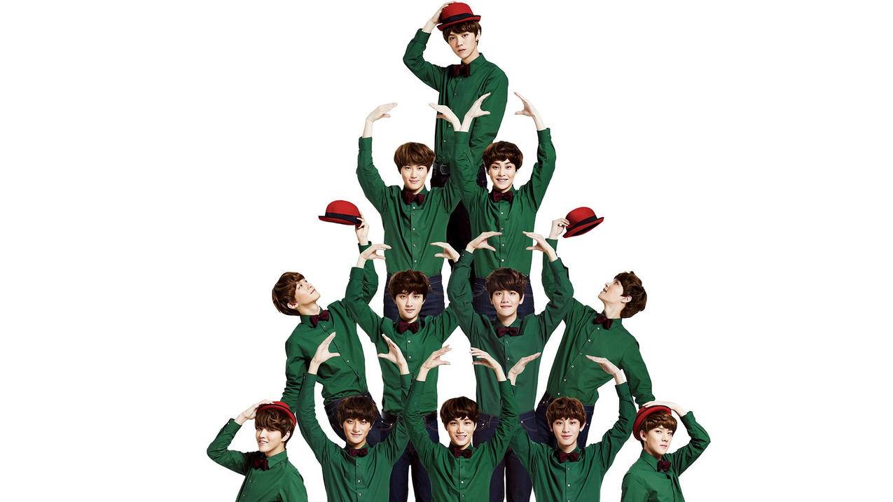 tiktok一直要注册不了账号_tiktok账号为什么注册不了 - 苹果APP下载 - 55dz账号网