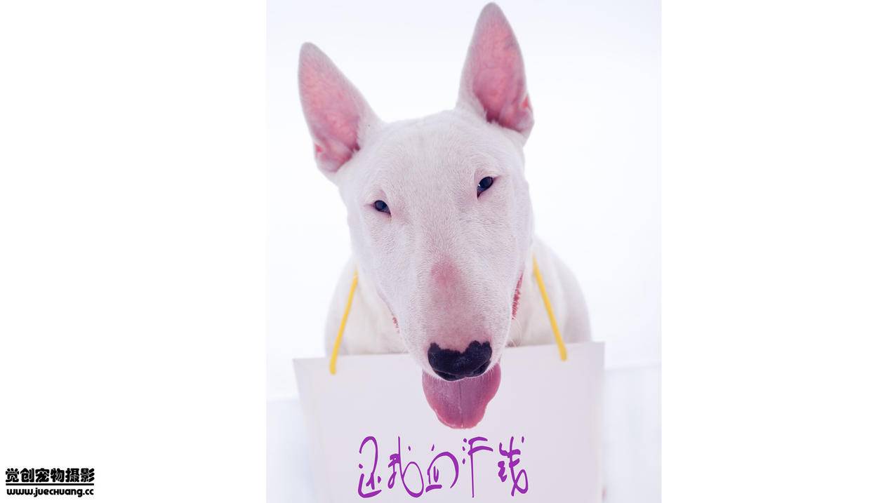 高质感ins风闺蜜头像真人_闺蜜头像ins高级质感真人 - INS相关 - APPid共享网