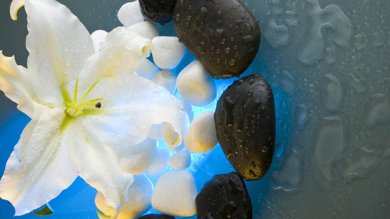 抖音充值能退款吗  ( 抖音币能退么? ) - 55dz账号网