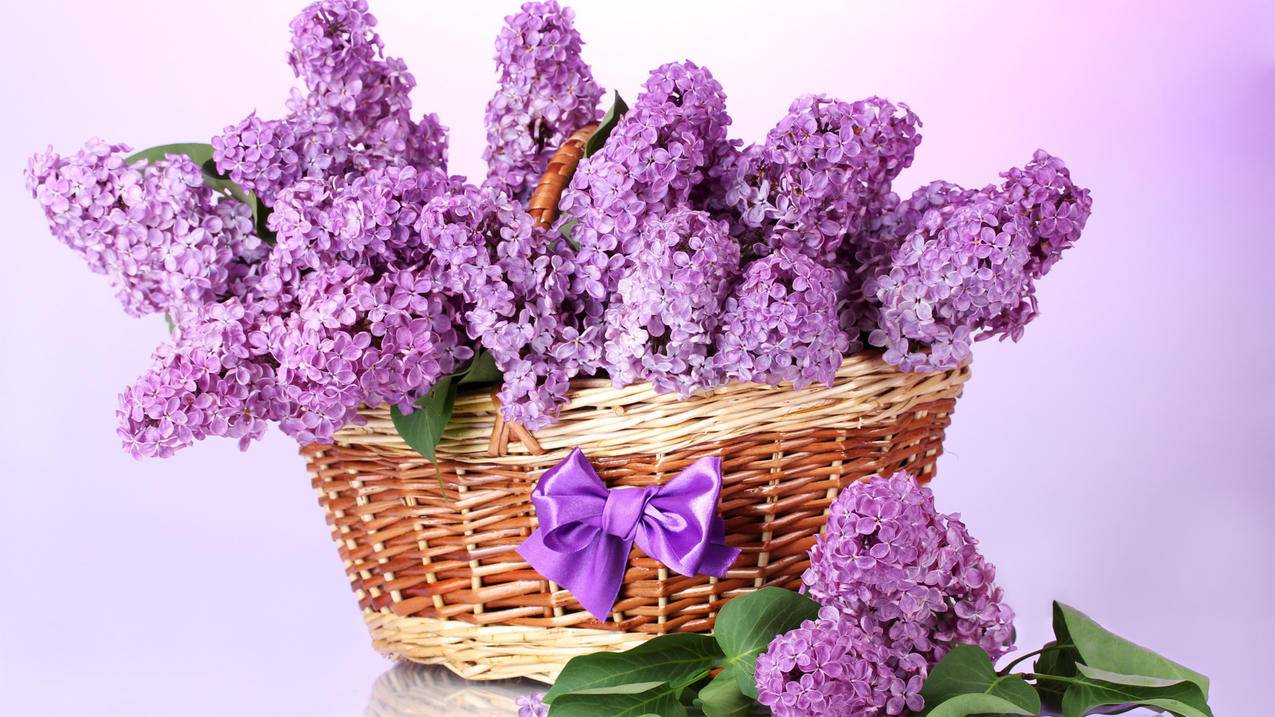 苹果手机登陆别人ID下载软件有风险吗? ， 苹果id只登录别人商店没事吧  - 55dz账号网